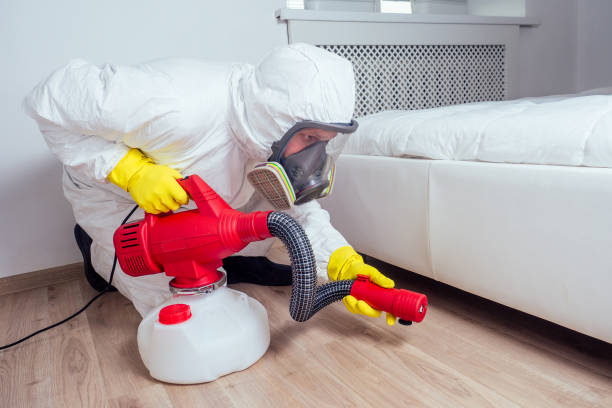 Best Real Estate Pest Inspections  in Hamburg, PA